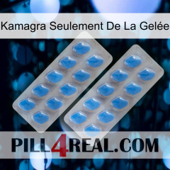 Kamagra Seulement De La Gelée 23